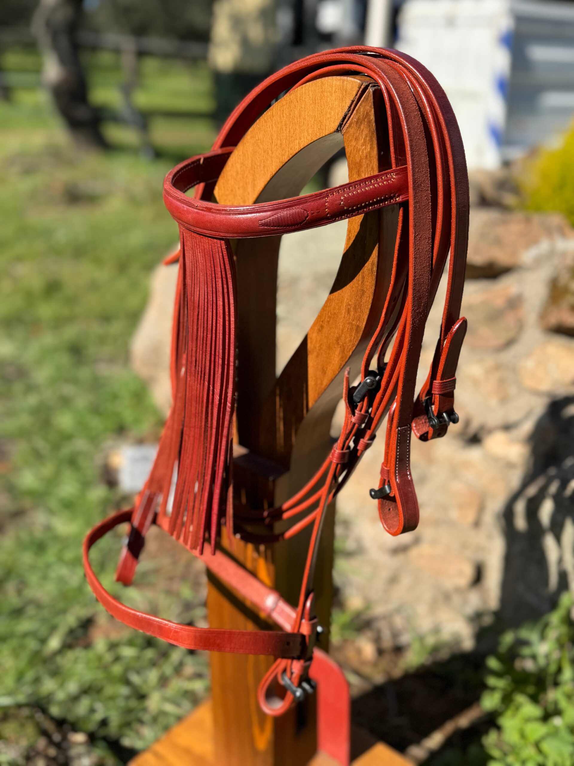 Cabezada vaquero eco