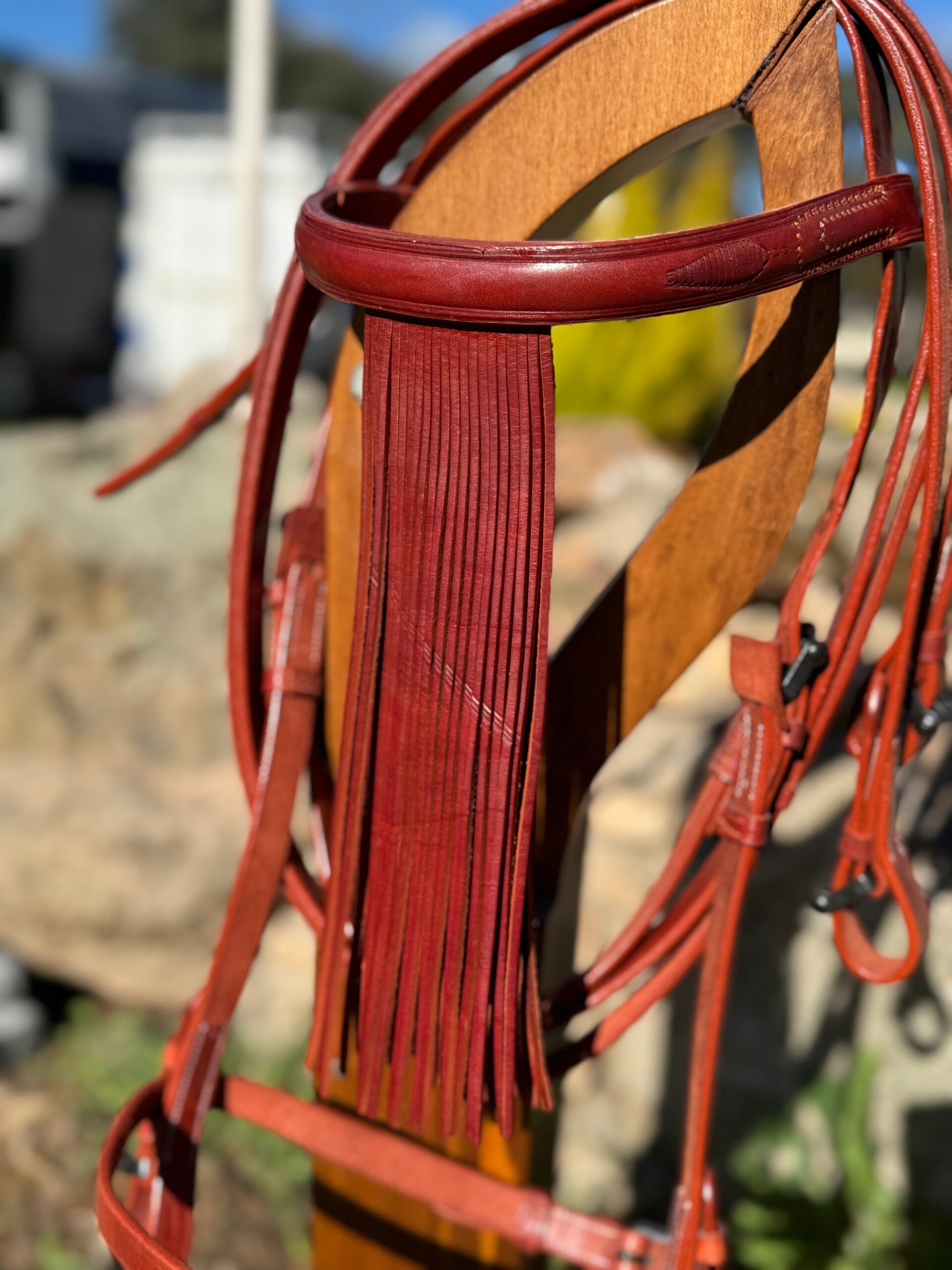 Cabezada vaquero eco