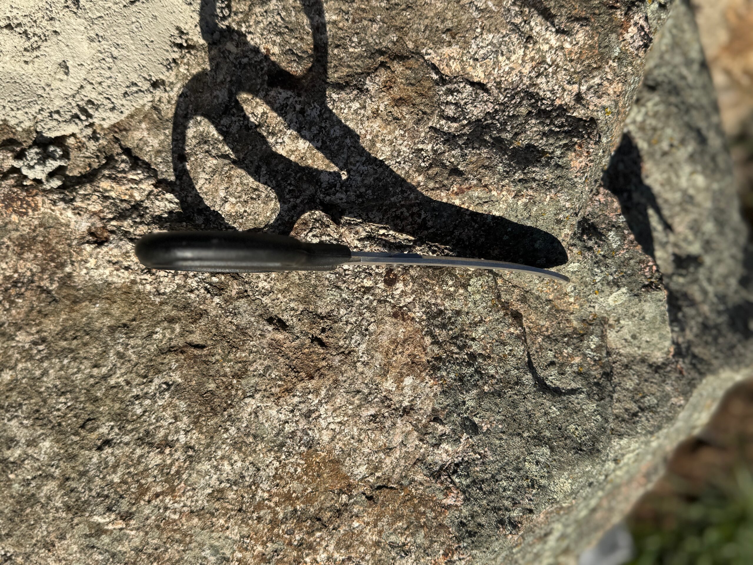Tijeras corta crines curva
