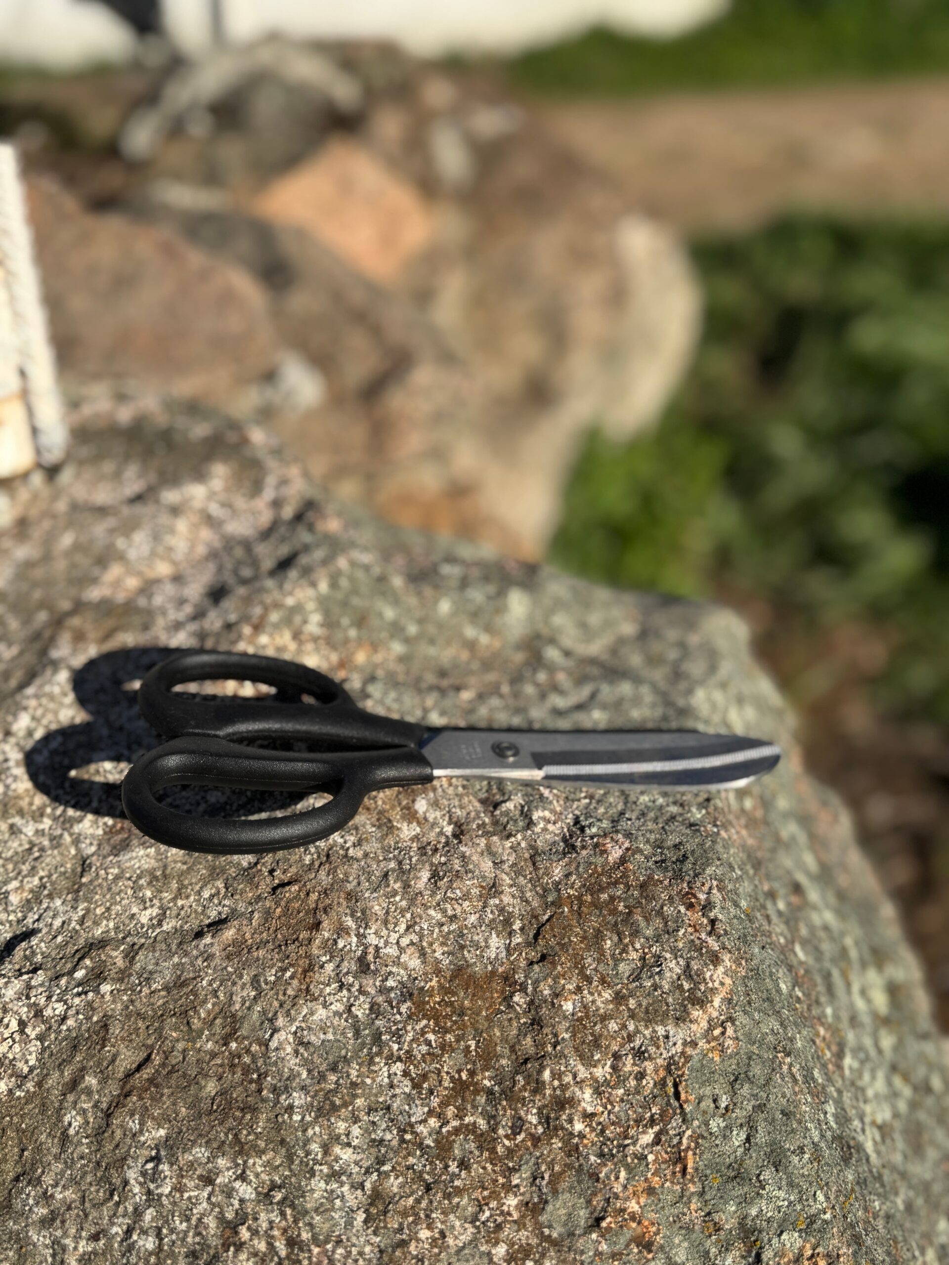 Tijeras corta crines curva