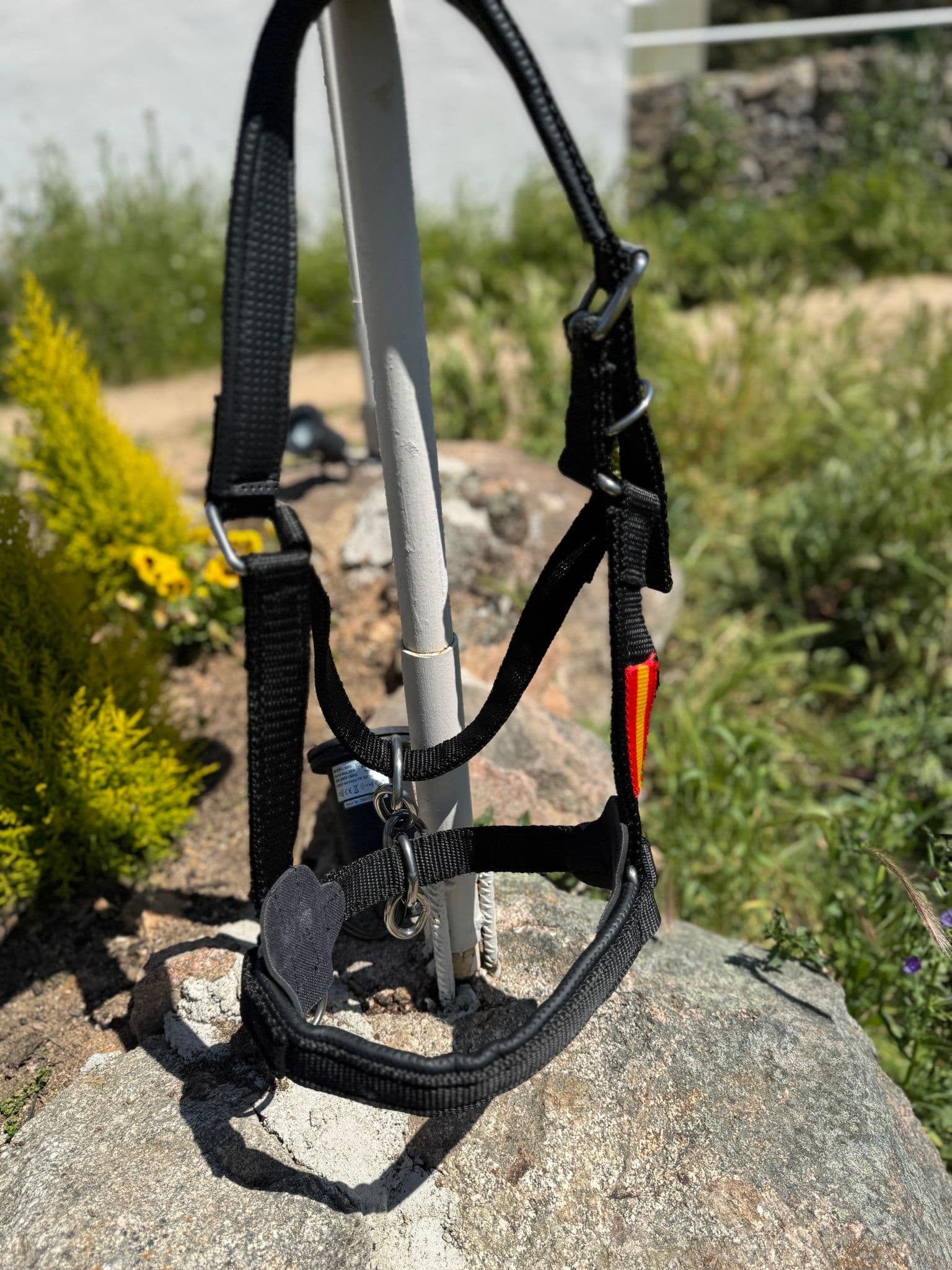 Cabezada de cuadra súper fuerte 2 vientos